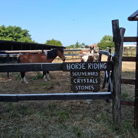 Kaliakria View Of The Black Sea Appartement Topola
